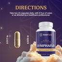 everfaith-lymphaflo-lymphatic-drainage-s-4.jpg