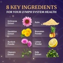everfaith-lymphaflo-lymphatic-drainage-s-5.jpg