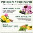 lymphatic-drainage-drops-with-21-in-1-he-3.jpg