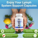 lymphatic-support-supplement-lymphatic-d-6.jpg