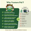 venture-pal-ceremonial-grade-mushroom-ma-5.jpg