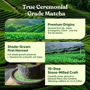 venture-pal-ceremonial-grade-mushroom-ma-6.jpg