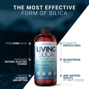 living-silica-orgono-collagen-booster-ve-4.jpg