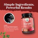 coq10-liquid-capsules-supplement-high-ab-3.jpg