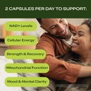 nad-longevity-energy-supplements-with-nr-2.jpg