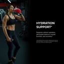 designs-for-sport-hydration-packs-zero-s-4.jpg