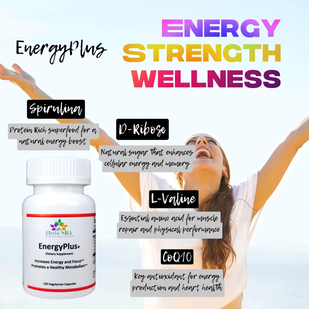 energyplus-natural-energy-support-supple-5.jpg