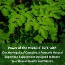 moringa-capsule-1000-mg-120-capsules-mor-4.jpg