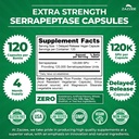 zazzee-delayed-release-serrapeptase-120--2.jpg