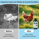 vitamin-b12-liquid-for-poultry-10000-mcg-4.jpg
