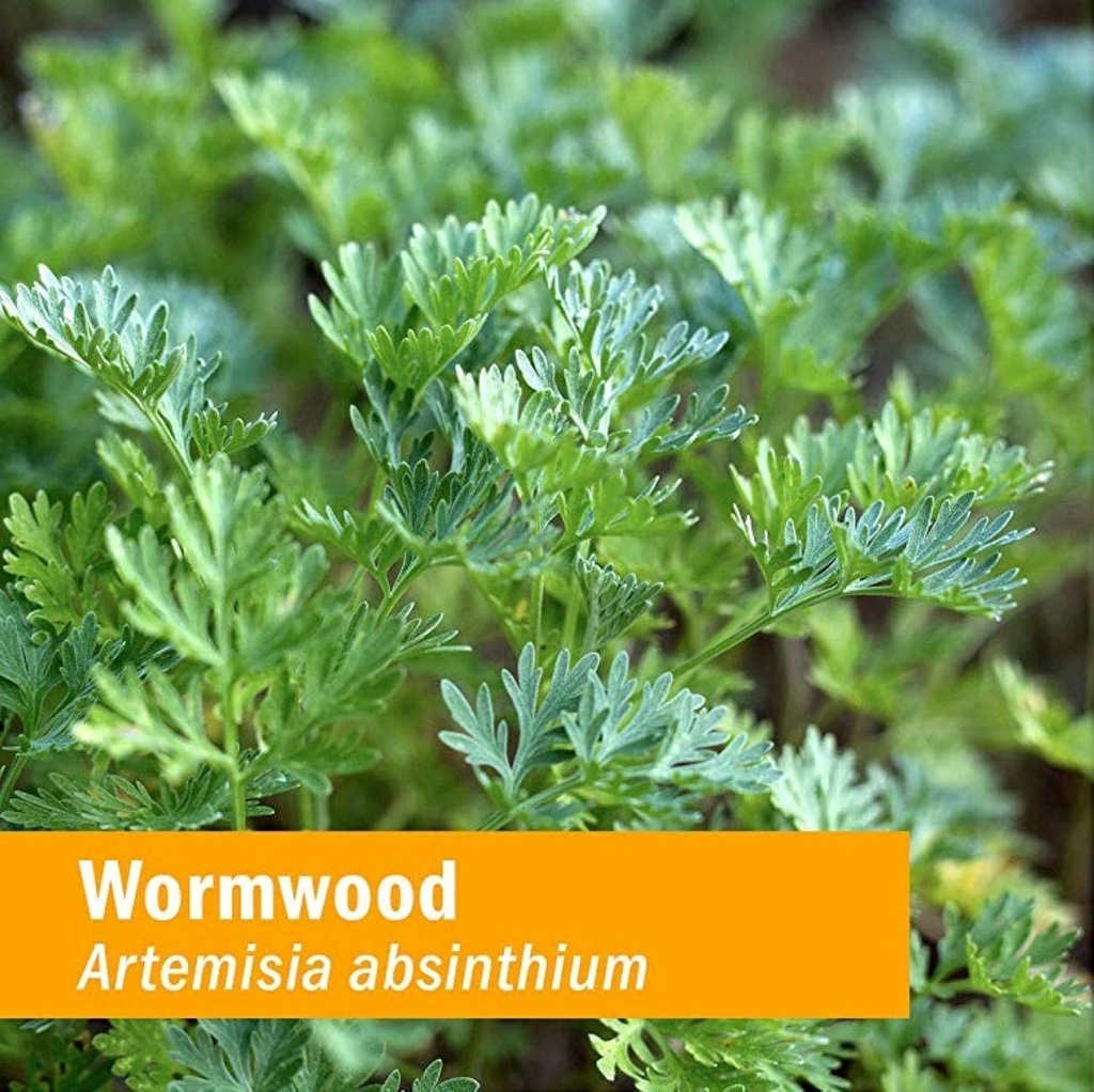 herb-pharm-certified-organic-clove-and-w-6.jpg