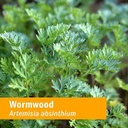 herb-pharm-certified-organic-clove-and-w-6.jpg