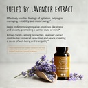 happy-healthy-hippie-vaginal-probiotics--5.jpg