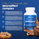 paleovalley-neuroeffect-neuro-mushroom-c-5.jpg