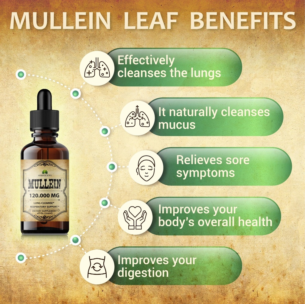 herbalicious-mullein-drops-for-lungs-org-5.jpg