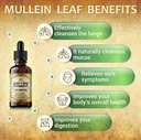herbalicious-mullein-drops-for-lungs-org-5.jpg