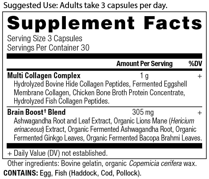 ancient-nutrition-collagen-protein-brain-2.jpg