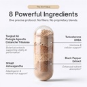 alpha-tribe-test-protocol-elite-natural--3.jpg