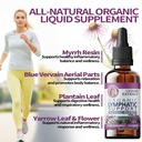 lymphatic-support-drops-echinacea-elderb-4.jpg