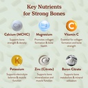 more-longevity-wellbeing-premium-calcium-5.jpg
