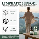 nature-secrets-lymphatic-drainage-drops--4.jpg