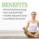 garden-of-life-turmeric-inflammatory-res-6.jpg