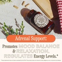 wooden-spoon-herbs-stress-savior-stress--3.jpg