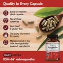 dailynutra-ksm-66-ashwagandha-600mg-orga-5.jpg