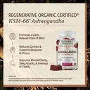 regenerative-fermented-ksm-66-ashwagandh-2.jpg