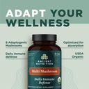 ancient-nutrition-mushroom-supplement-or-5.jpg