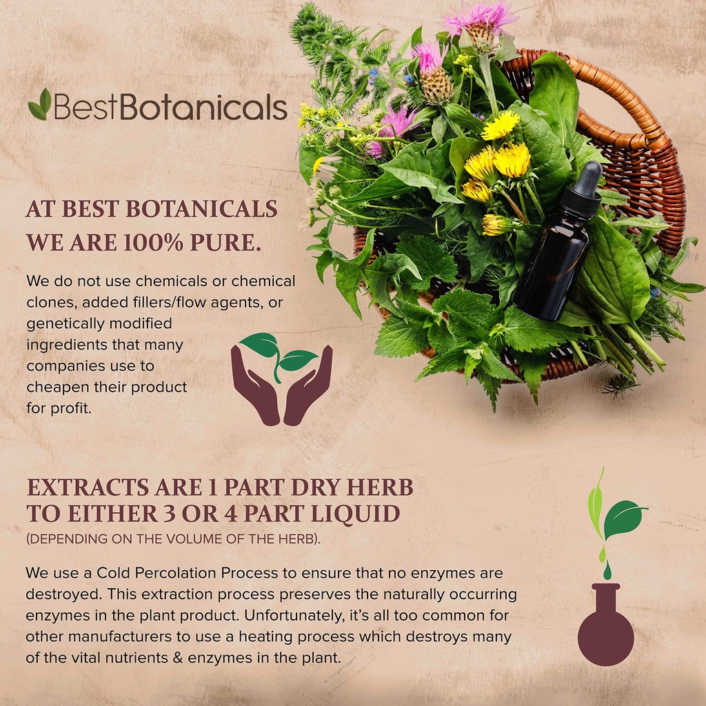 best-botanicals-blessed-thistle-herb-ext-4.jpg