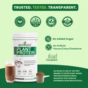 nutrazee-100-plant-protein-powder-vegan--6.jpg