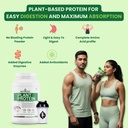 nutrazee-100-plant-protein-powder-vegan--3.jpg