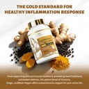turmeric-curcumin-supplement-1-500mg-95--4.jpg