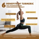 turmeric-curcumin-supplement-1-500mg-95--2.jpg