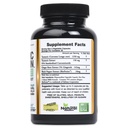 turmeric-curcumin-plus-ginger-root-extra-3.jpg