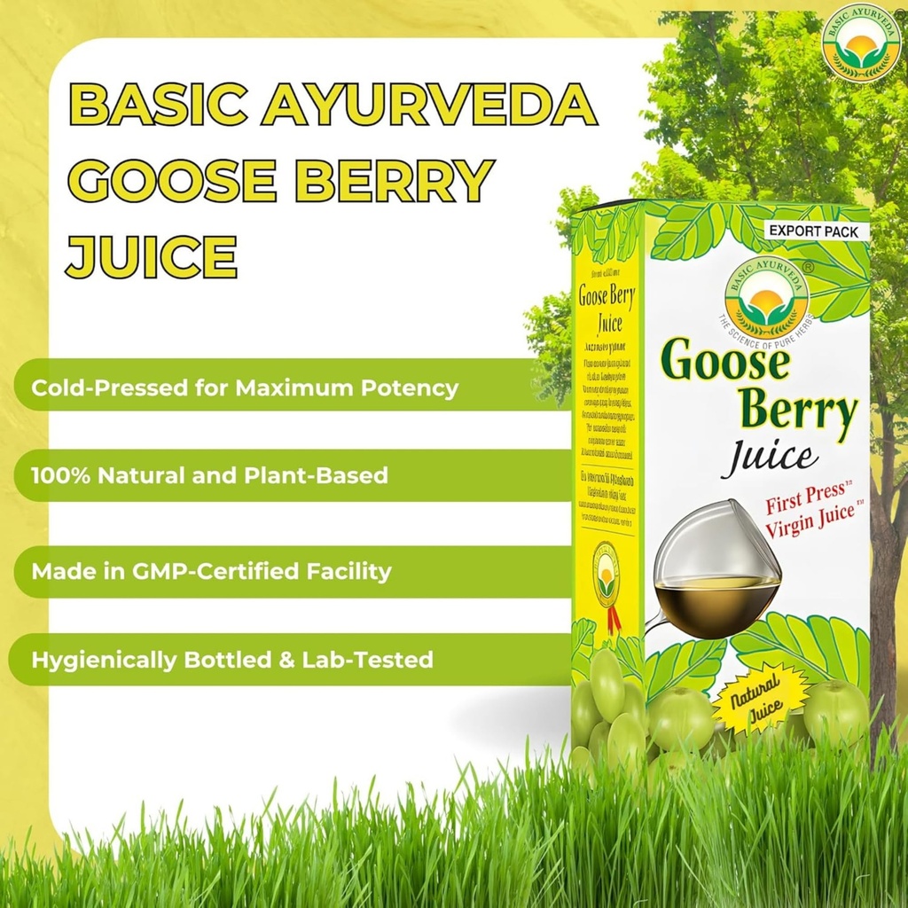 basic-ayurveda-amla-gooseberry-juice-16--4.jpg