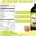 basic-ayurveda-amla-gooseberry-juice-16--2.jpg