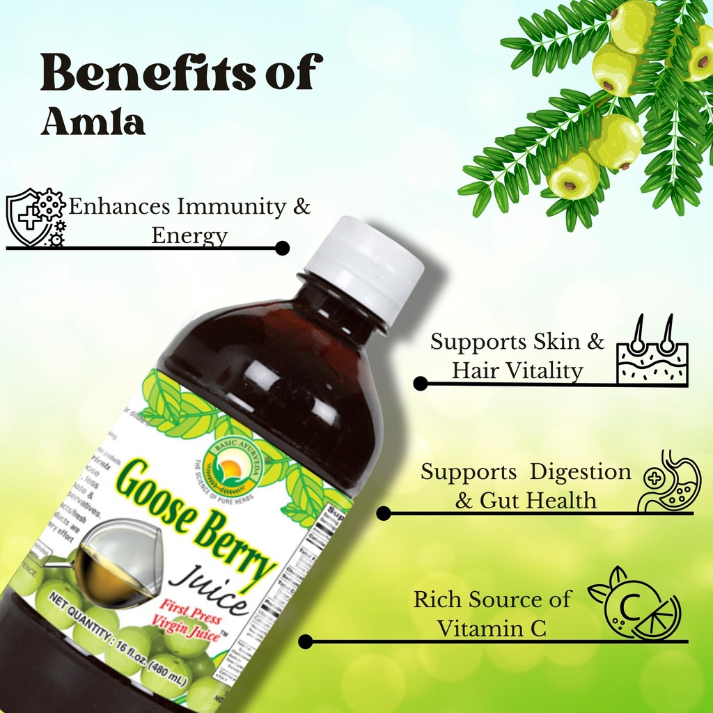 basic-ayurveda-amla-gooseberry-juice-16--5.jpg