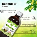 basic-ayurveda-amla-gooseberry-juice-16--5.jpg