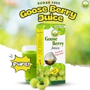 basic-ayurveda-amla-gooseberry-juice-16--3.jpg