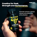 prime-labs-creatine-monohydrate-shilajit-4.jpg