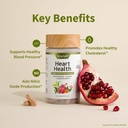 snap-supplements-heart-health-bundle-coq-3.jpg