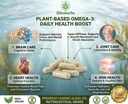 plant-based-omega-3-capsules-algae-oil-s-5.jpg