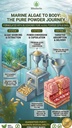 plant-based-omega-3-capsules-algae-oil-s-3.jpg