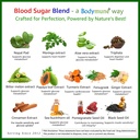 bodymune-blood-sugar-blend-organic-blood-5.jpg