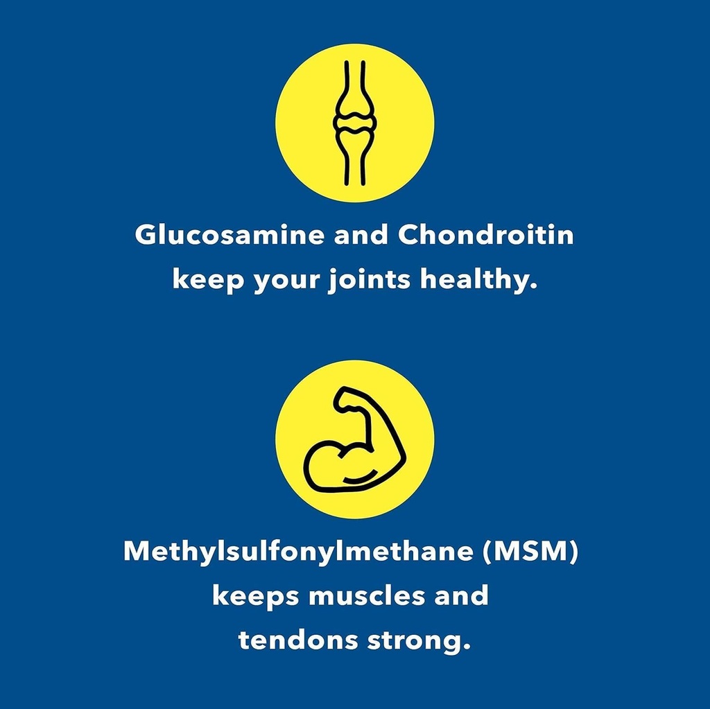 glucosamine-chondroitin-msm-supplement-f-3.jpg