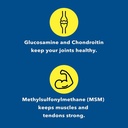 glucosamine-chondroitin-msm-supplement-f-3.jpg