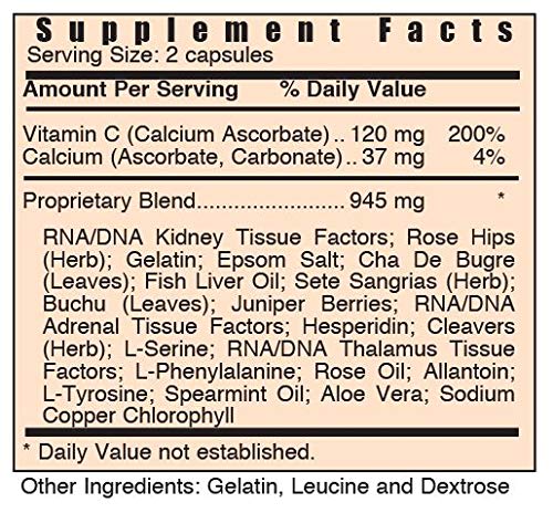 systemic-formulas-k-kidney-bio-function--2.jpg