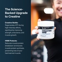 transparent-labs-creatine-hmb-creatine-m-2.jpg